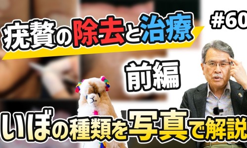 中药地稔的功效与作用-中药楝根皮功效与作用网- 雄黄的功效与作用知识,分享中药皂刺的功效与主治